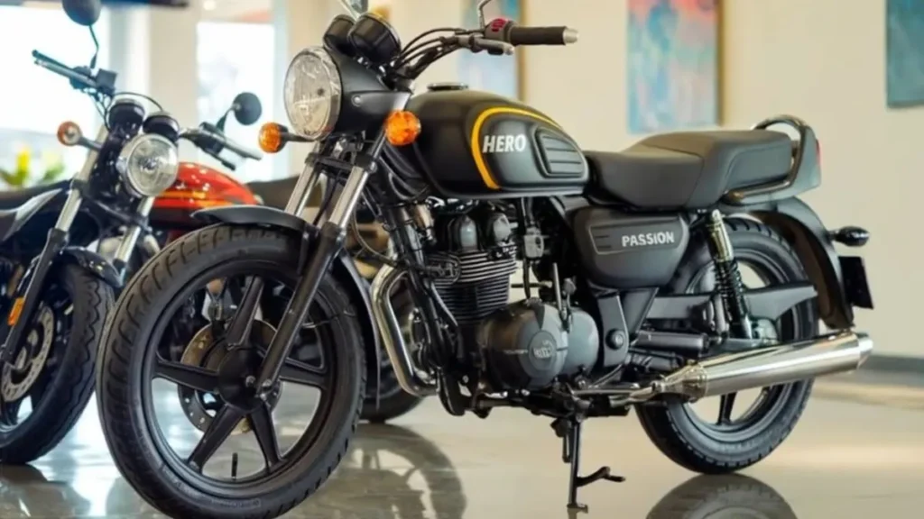 Hero Passion Pro